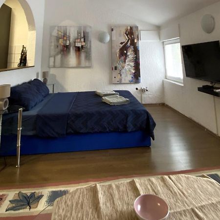 Twin Studio Apartments Zemun Belgrade Extérieur photo