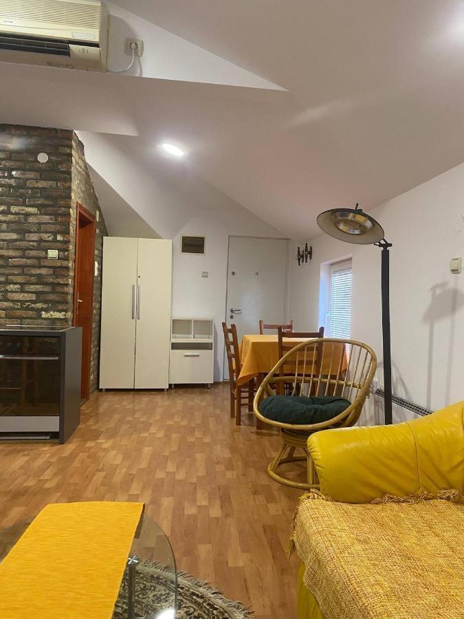 Twin Studio Apartments Zemun Belgrade Extérieur photo