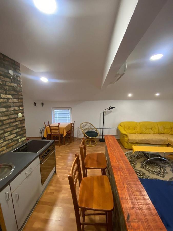 Twin Studio Apartments Zemun Belgrade Extérieur photo